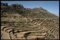 477044 Terraced Hillsides, North Yemen A4 Photo Print