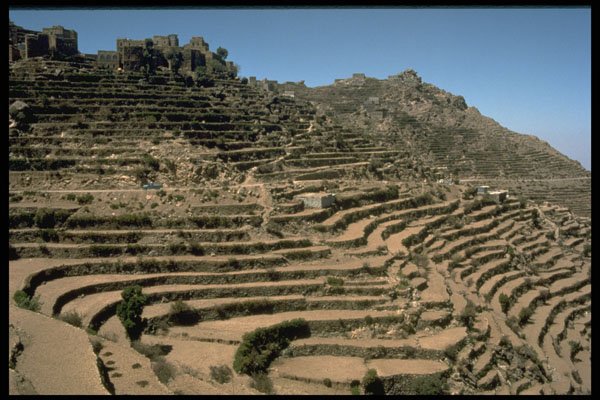 477044 Terraced Hillsides, North Yemen A4 Photo Print