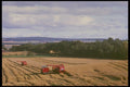 477045 Combine Harvesters, Scotland A4 Photo Print