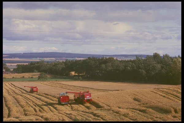 477045 Combine Harvesters, Scotland A4 Photo Print