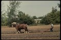 477046 Back breaking Work A4 Photo Print