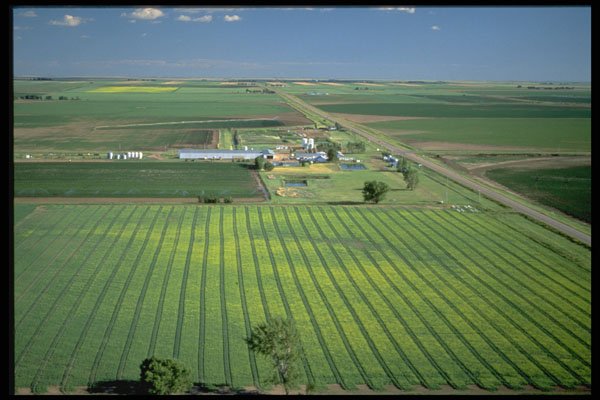 477074 Irrigated Farmland, Alberta A4 Photo Print
