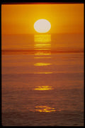 479009 Enthusiasm Spreads A4 Photo Print