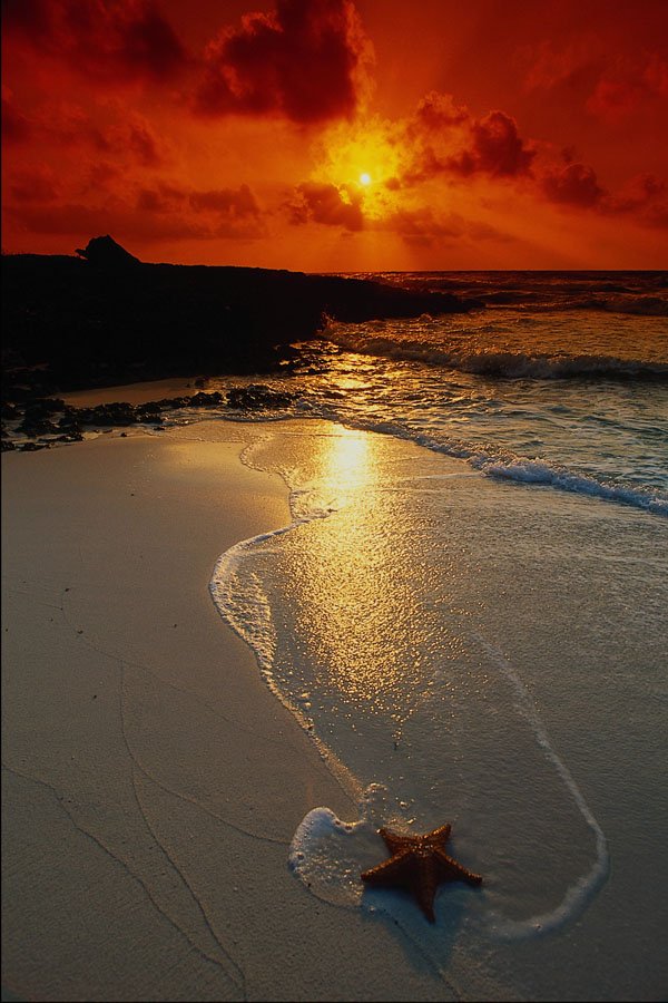 479015 Imagine The Impossible A4 Photo Print