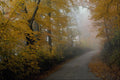 479019 Lead The Way A4 Photo Print