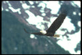 479027 The sky's the limit A4 Photo Print