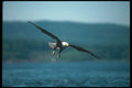 479028 Reach for your potential A4 Photo Print