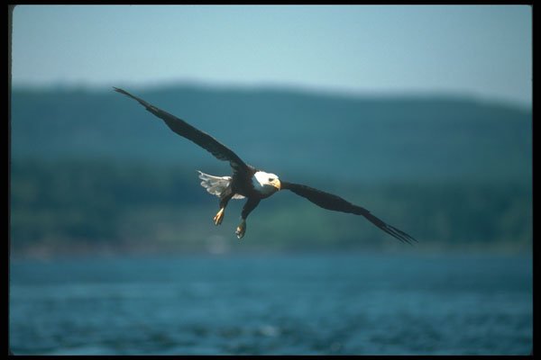 479028 Reach for your potential A4 Photo Print