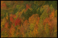 479034 Harmony With Nature A4 Photo Print