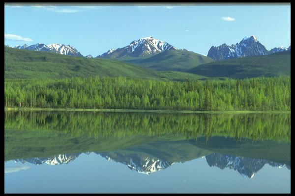 479049 Reflect On Nature A4 Photo Print