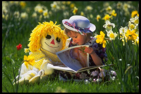 479091 Imagination A4 Photo Print