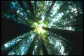 479092 Reach For The Top A4 Photo Print