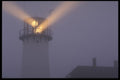 479096 Light the way A4 Photo Print