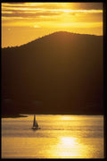 479098 Determine Your Destiny A4 Photo Print