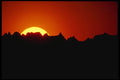 479099 Seize The Day A4 Photo Print