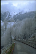 480002 Road With Snow covered Firs, Switzerland A4 Photo Print