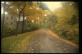 480003 Countryside Road A4 Photo Print