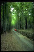 480008 Hangzhou, China A4 Photo Print