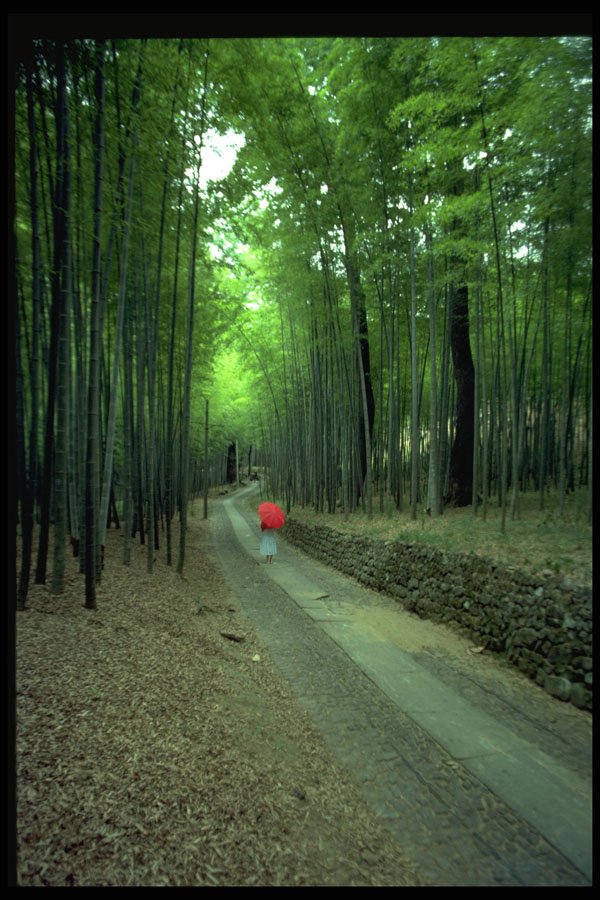 480008 Hangzhou, China A4 Photo Print