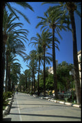 480009 Passeo, Sanrera, Palma, Mallorca, Mediterranean Islands A4 Photo Print