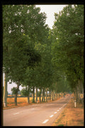 480011 Typical Road In Normandy, France A4 Photo Print