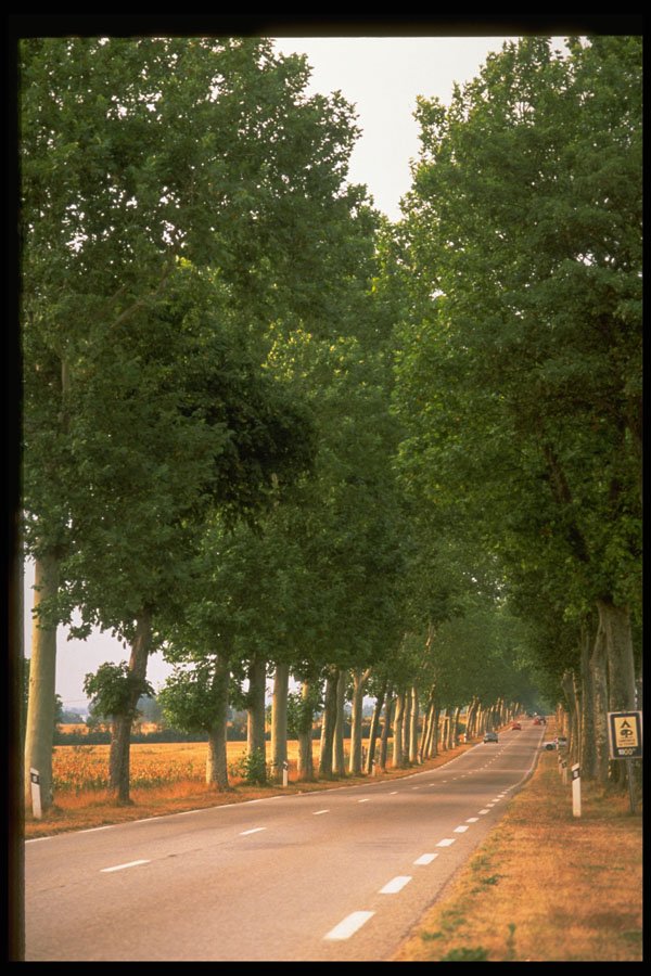 480011 Typical Road In Normandy, France A4 Photo Print