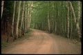 480031 Meech Lake, Ontario, Canada A4 Photo Print
