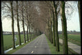 480033 Typical Tree lined Canal Road In Holland A4 Photo Print