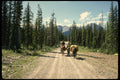 480047 Michael And Belinda Starting Out On Spray Road A4 Photo Print