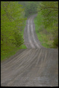480052 Country Road A4 Photo Print