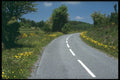 480055 Roadside Flowers, Languedoc, France A4 Photo Print