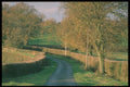 480057 Trees And Woodland, England A4 Photo Print