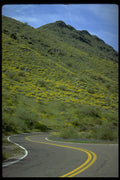 480061 South Mountain Park, Phoenix, Arizona, USA A4 Photo Print