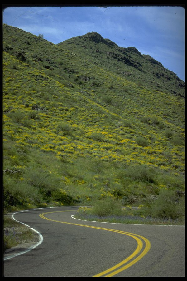 480061 South Mountain Park, Phoenix, Arizona, USA A4 Photo Print