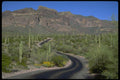 480065 Ajo Mountain Drive, Organ Pipe Cactus National Monument A4 Photo Print