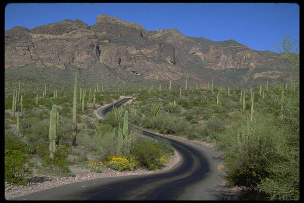 480065 Ajo Mountain Drive, Organ Pipe Cactus National Monument A4 Photo Print