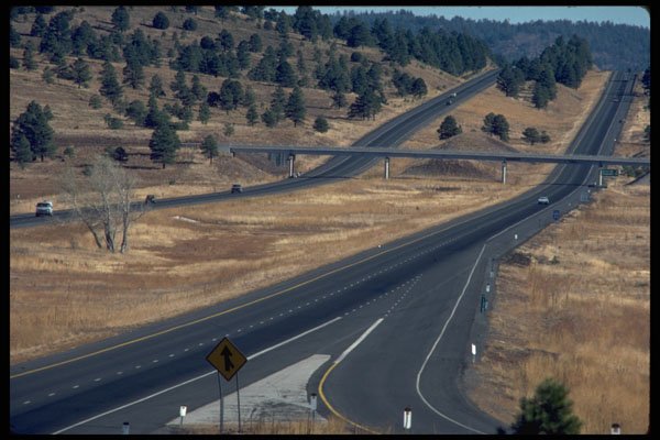 480073 Interstate 40, Coconino National Forest, Arizona, USA A4 Photo Print