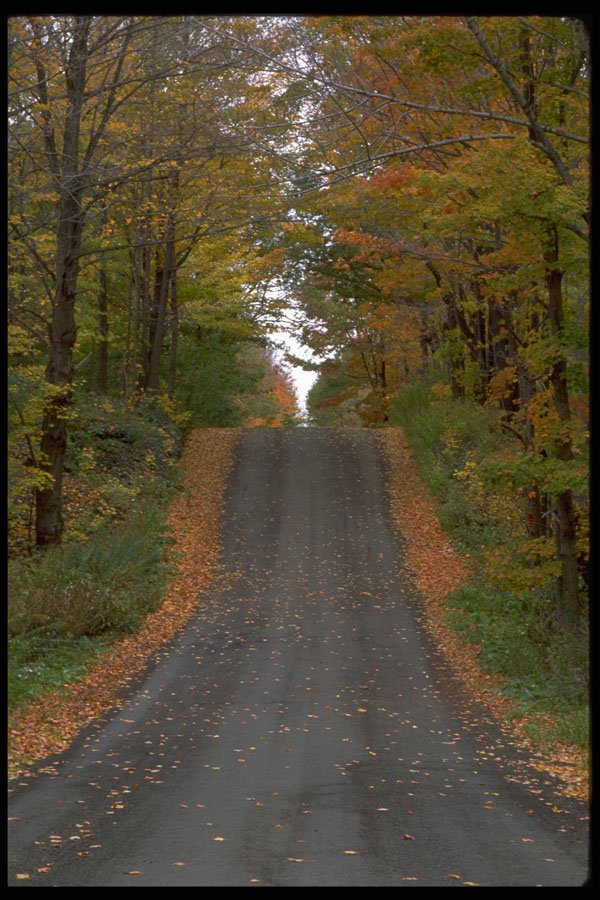 480091 Fall Scene On Country Road, Upstate New York, USA A4 Photo Print