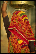 481013 Shy Village Woman With Veil, Rajasthan, India A4 Photo Print