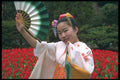 481033 Dancing In The Tea Garden, San Francisco, California A4 Photo Print