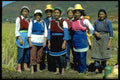 481058 China A4 Photo Print