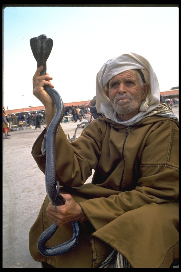 481061 Marrakesh Snake Charmer, Morocco A4 Photo Print
