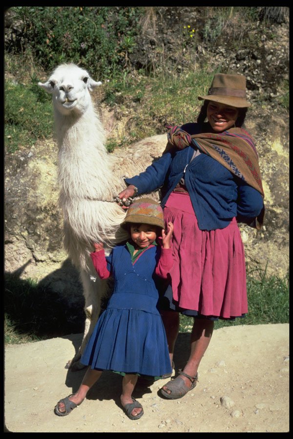 481082 Woman, Child And Llama Near Cuzco, Peru A4 Photo Print