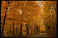 482004 Safe And Sound A4 Photo Print