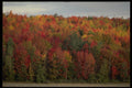 482005 Autumn Hillside A4 Photo Print