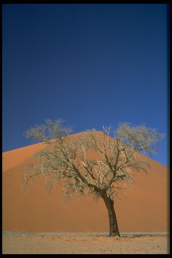 482011 Namib Desert, Africa A4 Photo Print