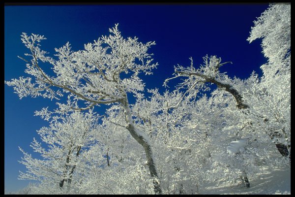 482015 Winter Landscape, New England, USA A4 Photo Print