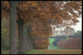 482027 Windsor Castle Park, England A4 Photo Print