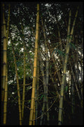 482028 Bamboo, Malaysia A4 Photo Print