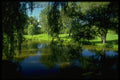 482032 Arboretum, Experimental Farm, Ottawa, Canada A4 Photo Print